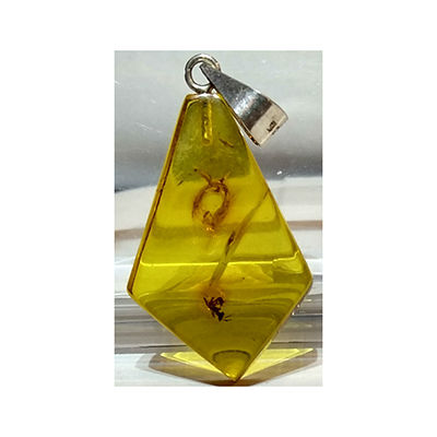 Dije De Ámbar Con Insecto Y Plata 2.24 Gramos